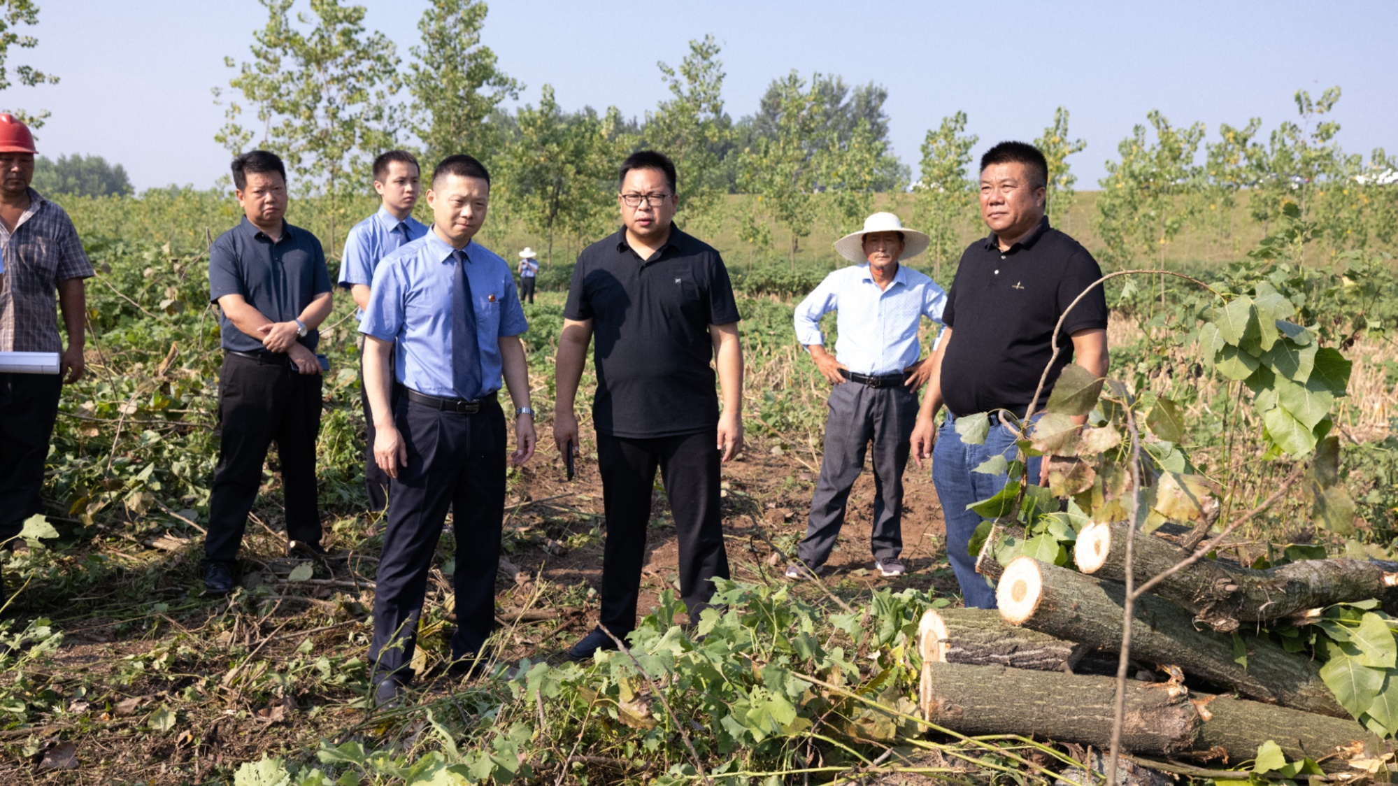 湖北枝江：检察建议促推排除行洪安全隐患